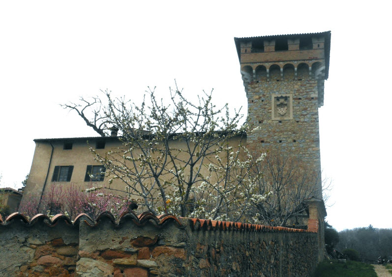 Castello di Frascarolo, Italy